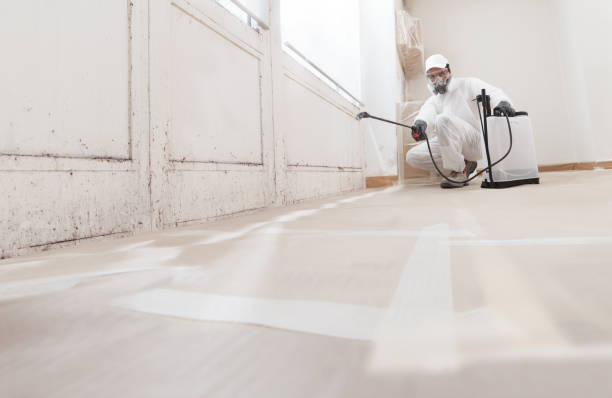 24/7 Emergency Mold Inspection experts in Coatesville, PA